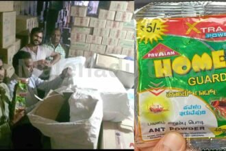 pavalam ant powder