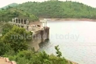 bhadra dam water level today 2025