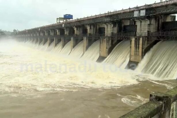 tunga dam water level today