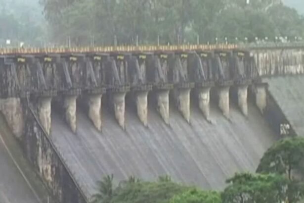 malnad dam level today linganamakki dam water level today