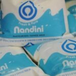 biodegradable pouch