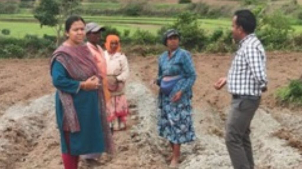 agriculture news Karnataka