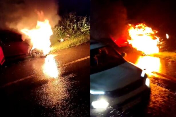 Car Catches Fire Near Shivamogga Lion Safari 09