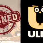 OTT Platform Indian Government Bans Over 20 OTT Platforms 20