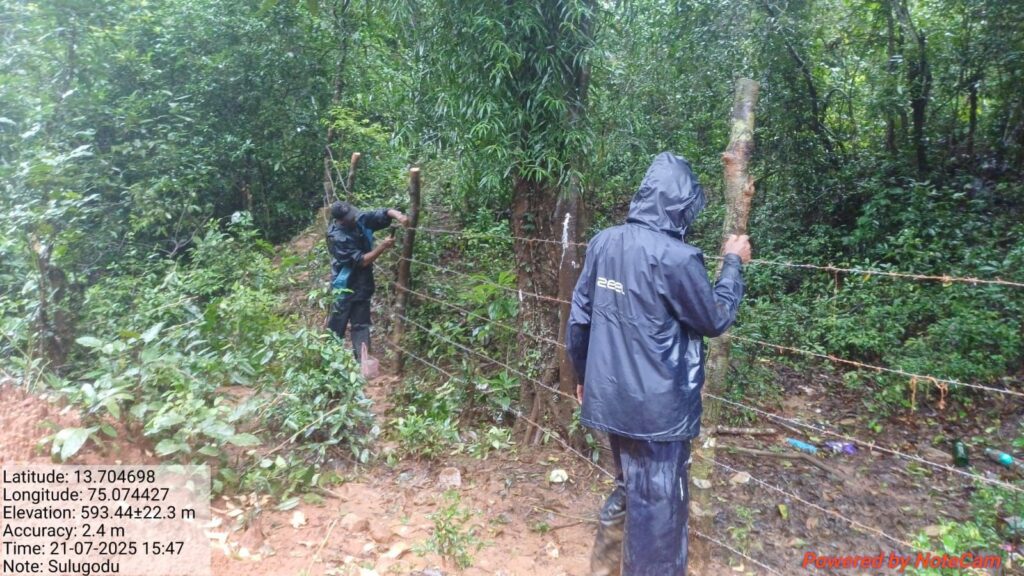 Abbi Falls Permanently Barricaded