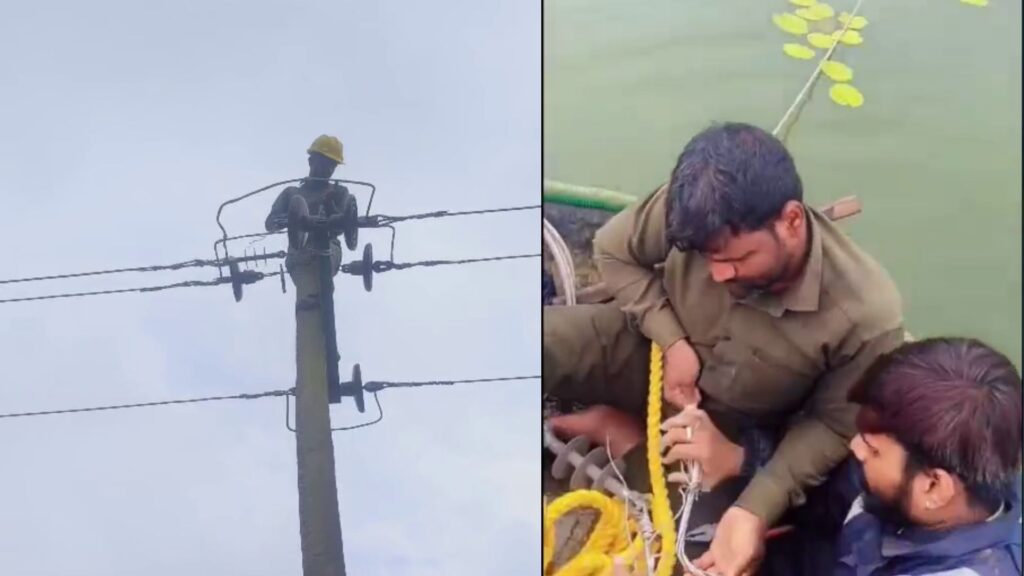mescom lineman video