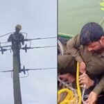 mescom lineman video