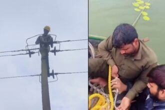 mescom lineman video