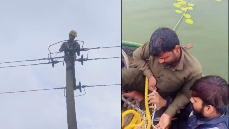 mescom lineman video