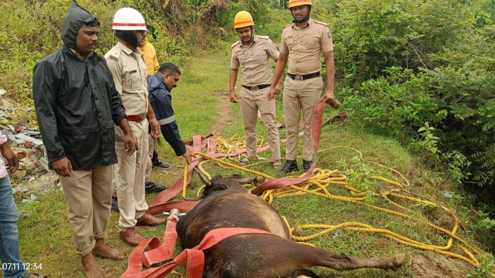 Sovinakoppa Cow Rescue ಹಸುವನ್ನು ರಕ್ಷಿಸಿದ ಅಗ್ನಿಶಾಮಕ ದಳದ ಸಿಬ್ಬಂದಿಗಳು
