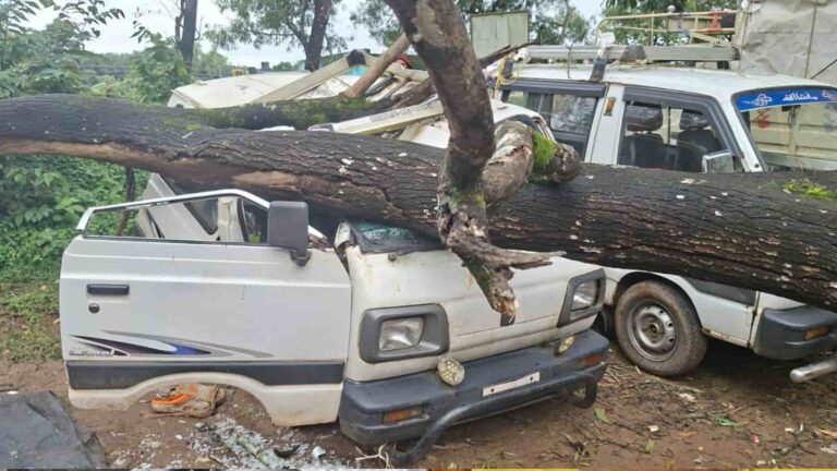 Tree falls on car ಓಮಿನಿ ಕಾರ್​ಮೇಲೆ ಬಿದ್ದ ಮರ