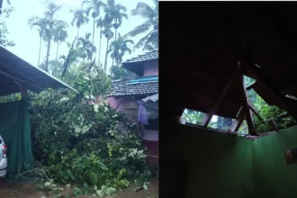 Tree Collapse ಮನೆ ಮೇಲೆ ಬಿದ್ದ ಮರ