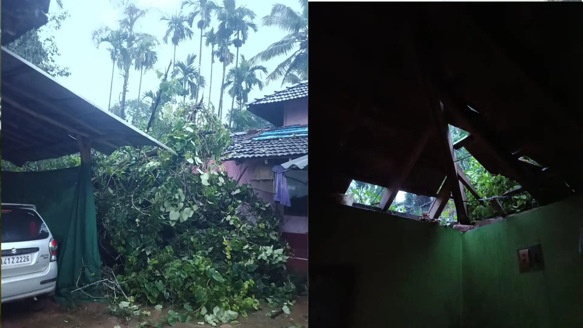 Tree Collapse ಮನೆ ಮೇಲೆ ಬಿದ್ದ ಮರ