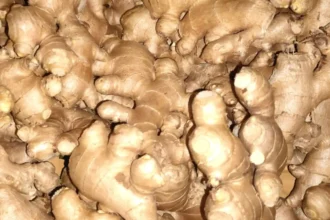 Ginger Prices today
