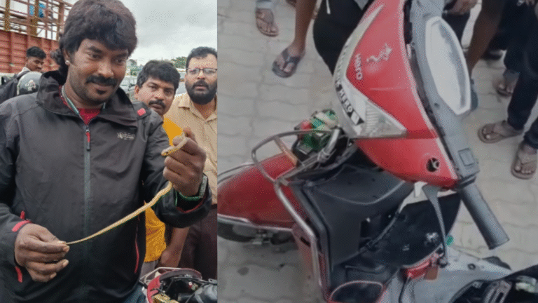 snake rescue shivamogga ಸ್ನೇಕ್​ ಕಿರಣ್