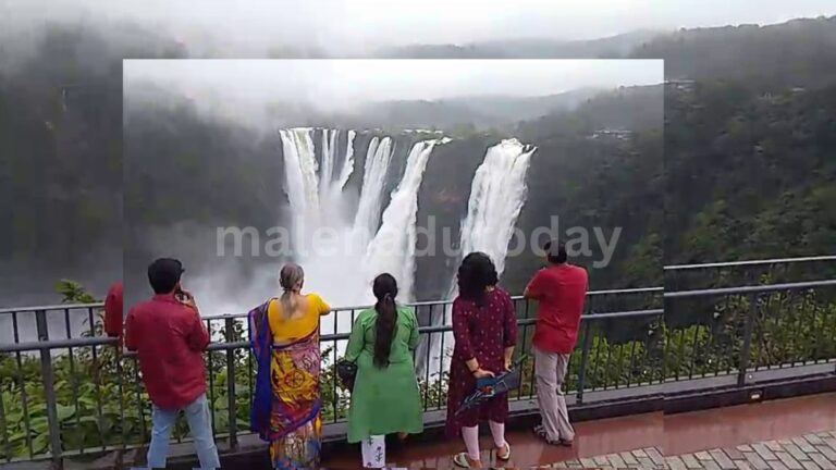 Jog falls