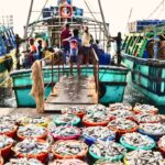 Assistant Director Fisheries contact numbers