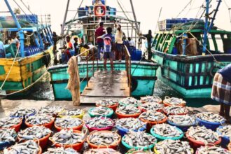 Assistant Director Fisheries contact numbers