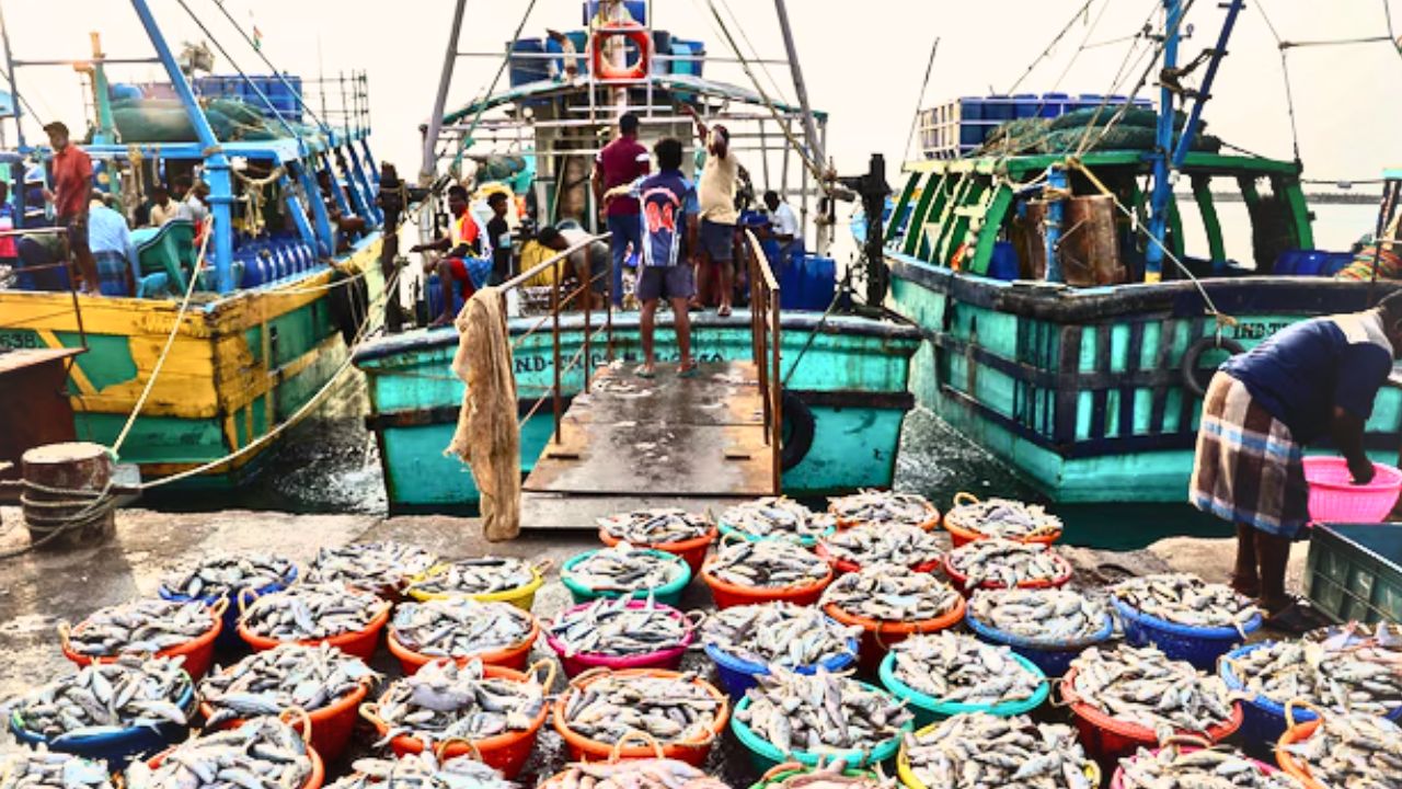 Apply for Financial Aid for Fish Vendors Assistant Director Fisheries contact numbers