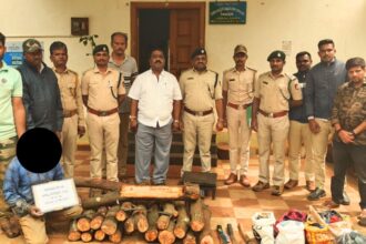 Mudhol Dog catch Sandalwood Thieves