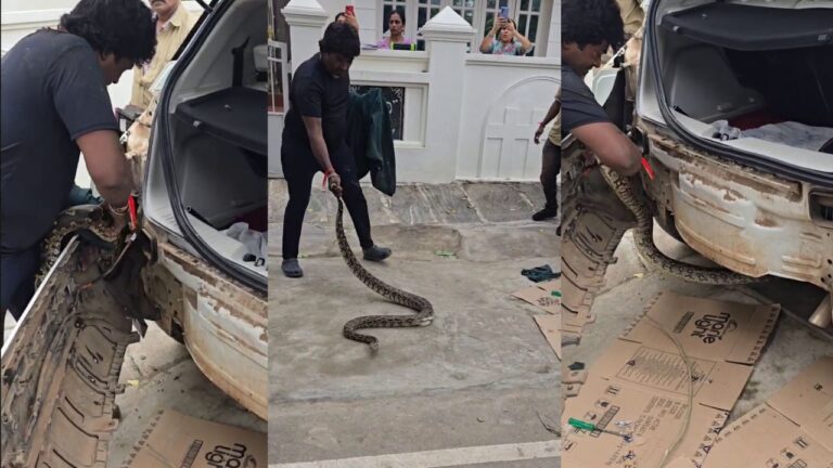 Giant Python Found in Car ಹಾವು, ವನ್ಯಜೀವಿ ರಕ್ಷಣೆ, python, Shivamogga, Snake Kiran, snake rescue,