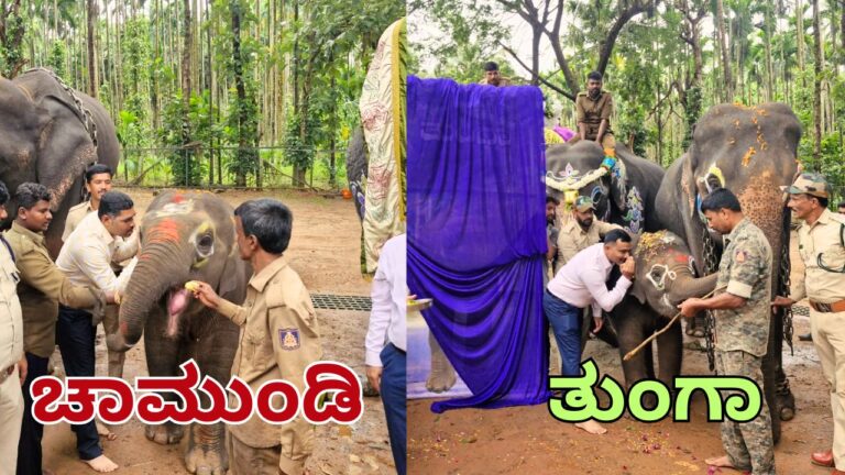 elephant naming ceremony Sakrebailu Elephant Camp