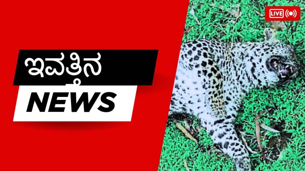 Leopard Found Dead in Shikaripura hosuru