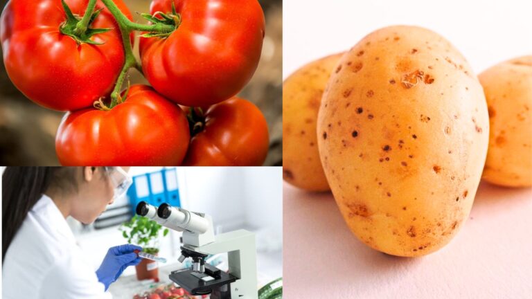 Agricultural Sciences