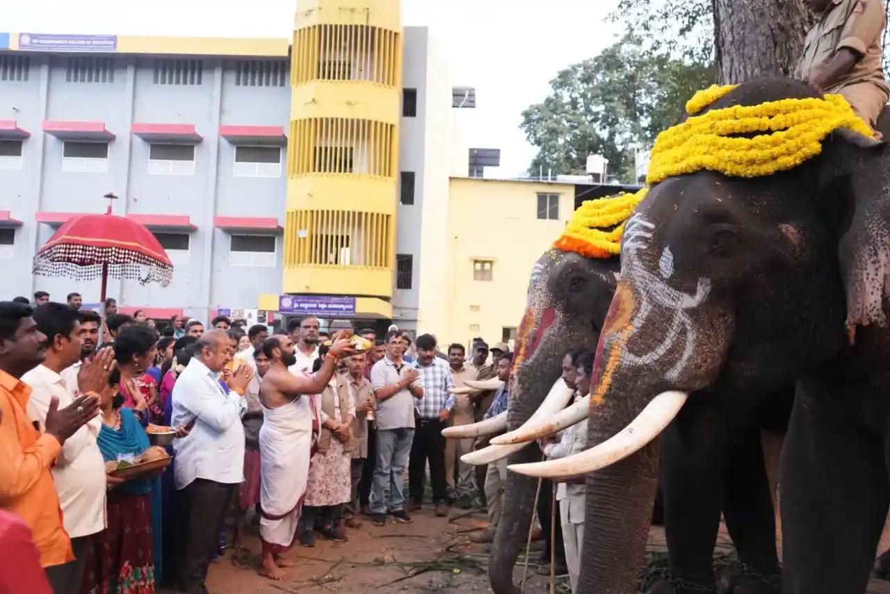 ಶಿವಮೊಗ್ಗ ದಸರಾ: ಜಂಬೂಸವಾರಿಗೆ ಬಂದ ಸಕ್ರೆಬೈಲ್ ಆನೆಗಳ ತಾಲೀಮು ಆರಂಭ 2 Shivamogga Dasara Elephants, ಶಿವಮೊಗ್ಗ ದಸರಾ, ಅಂಬಾರಿ ಮೆರವಣಿಗೆ, ಸಕ್ರೆಬೈಲು ಆನೆ, ಸಾಗರ, ಬಾಲಣ್ಣ, ಬಹದ್ದೂರ್, ದಸರಾ ಮಹೋತ್ಸವ, ತಾಲೀಮು, ಮಲೆನಾಡು ಟುಡೆ ,#ShivamoggaDasara, #Dasara2025 #AmbariProcession, #SakrebailuElephants, #KarnatakaDasara, #MalenaduToday #IndianFestival