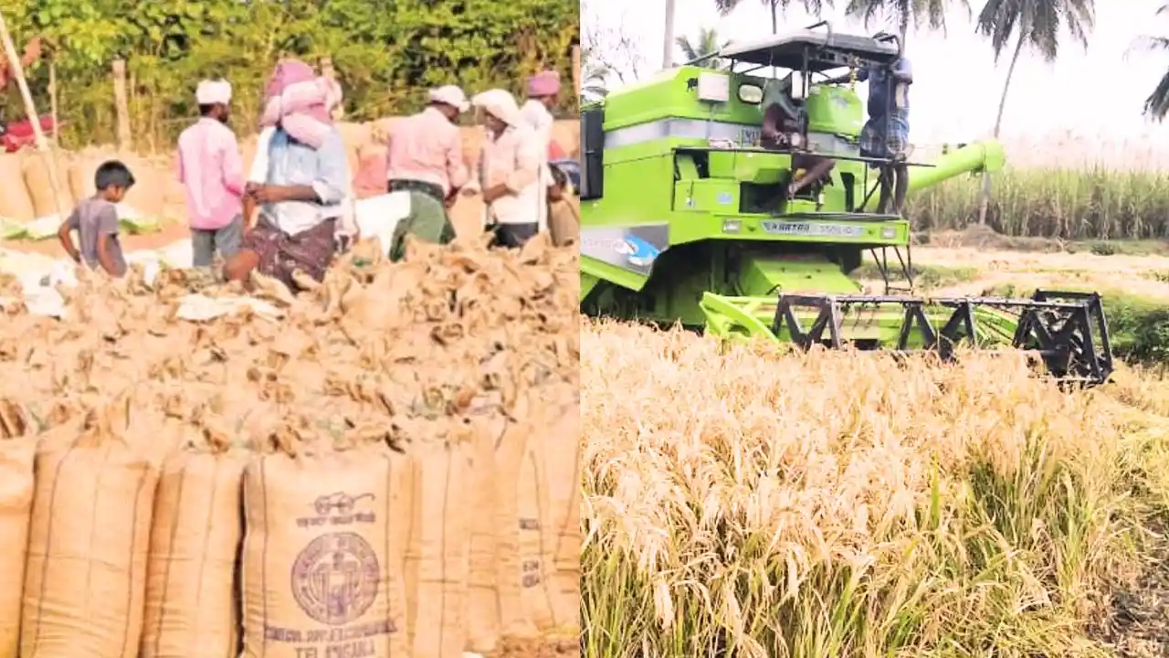 Shimoga Paddy MSP Fixed at 2389