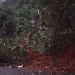 Agumbe ghat ರಸ್ತೆಗೆ ಬಿದ್ದ ಮರ