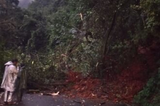 Agumbe ghat ರಸ್ತೆಗೆ ಬಿದ್ದ ಮರ