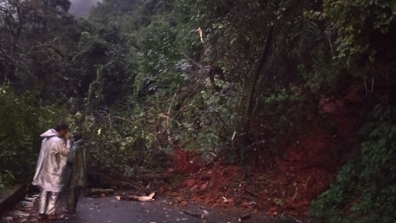 Agumbe ghat ರಸ್ತೆಗೆ ಬಿದ್ದ ಮರ