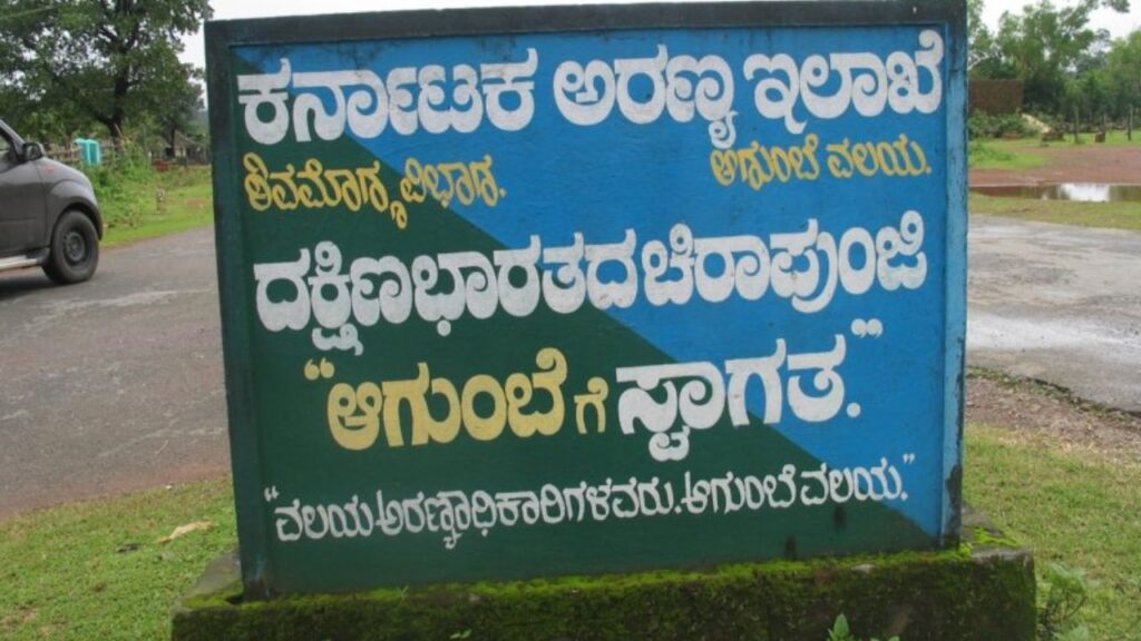 Wild elephant agumbe