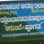 Wild elephant agumbe