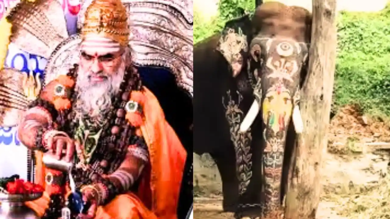 ಶಿವಮೊಗ್ಗಕ್ಕೆ ಕೇದಾರ ಪೀಠದ ಶ್ರೀಗಳ ಆಗಮನ! ಇಷ್ಟಲಿಂಗ ಪೂಜೆ ಜೊತೆ ಆನೆ ಮೇಲೆ ಮೆರವಣಿಗೆ! ವಿಶೇಷವಿದೆ 1 Kedara Peetha Swamiji Shivamogga visit to Grace Ishtalinga Pooja
