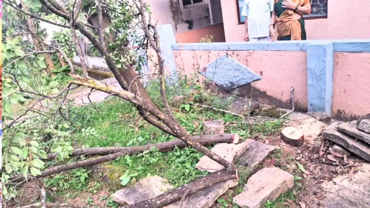 ಸಿಟಿಯಲ್ಲೆ ಮನೆ ಮುಂದಿದ್ದ ಶ್ರೀಗಂಧ ಮರ ಕದ್ದರು!/ ಹುಡುಗ,ಹುಡುಗಿ ಮೆಸೇಜ್ , ದೊಡ್ಡವರ ಕಿತ್ತಾಟ/ ಪ್ರಕ್ಲಾಮೇಷನ್ ಆಸಾಮಿ ಅರೆಸ್ಟ್ 1 shivamogga today short news