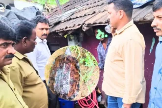 Forest Mobile Squad of Sagar seized a Black Turtle Kappu Aame during a raid in Bekallu Siddeshwara Nagara, Hosanagara. 