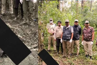 Wife Exposes Husband in Poaching Case