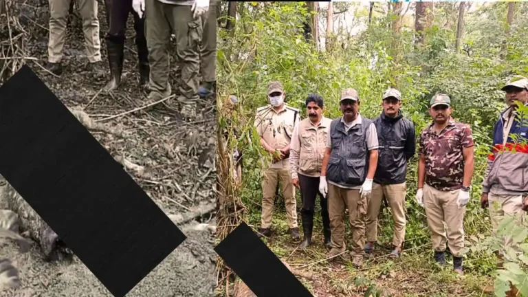 Wife Exposes Husband in Poaching Case