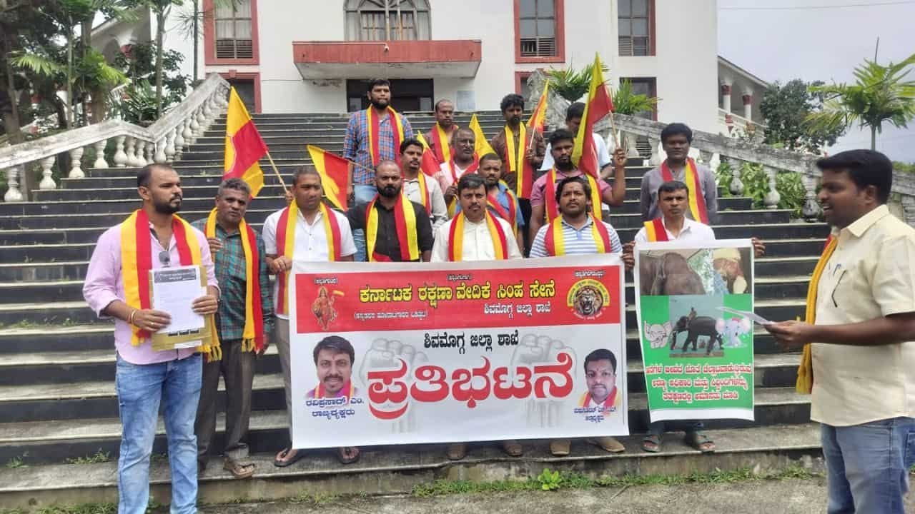 Sakrebailu Elephant Camp