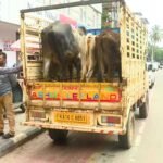 ಶಿವಮೊಗ್ಗ : ಲೋನ್ ಕಟ್ಟದಿದ್ದಕ್ಕೆ ರೈತನ ಹಸು-ಹೋರಿ ವಶಕ್ಕೆ ಪಡೆದ ಫೈನಾನ್ಸ್ ಸಿಬ್ಬಂದಿ 4 Shivamogga finance harassment ಕರೆದೊಯ್ಯಲು ಗಾಡಿಯಲ್ಲಿ ಹಸುವನ್ನು ಕಟ್ಟಿರುವ ಸಿಬ್ಬಂದಿಗಳು