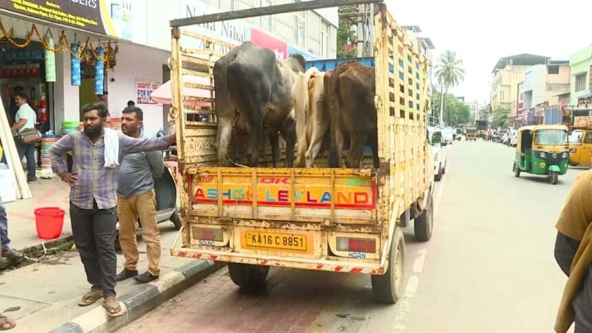 Shivamogga finance harassment ಕರೆದೊಯ್ಯಲು ಗಾಡಿಯಲ್ಲಿ ಹಸುವನ್ನು ಕಟ್ಟಿರುವ ಸಿಬ್ಬಂದಿಗಳು