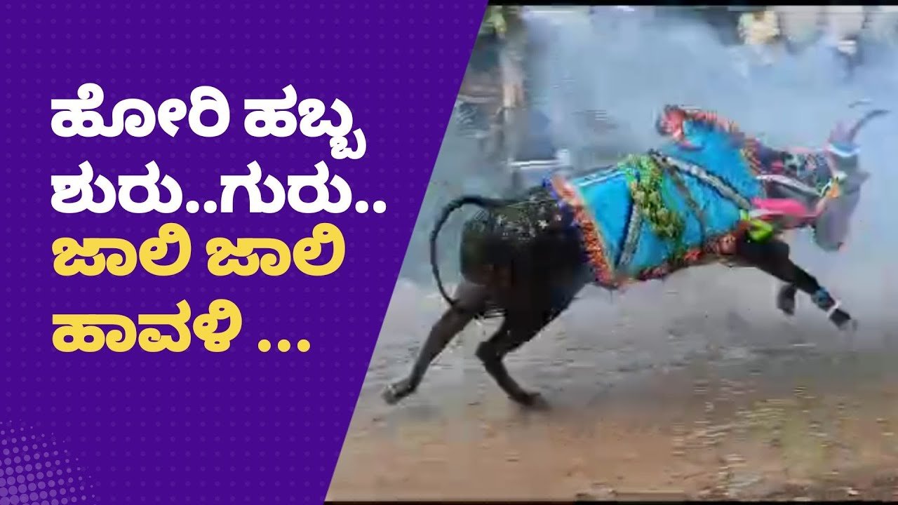 ಮಲ್ನಾಡ್ ಹೋರಿಹಬ್ಬದ ಖದರ್ ಹೇಗಿರುತ್ತೆ ಗೊತ್ತಾ