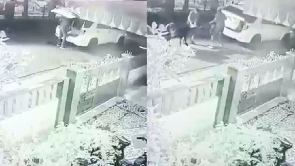 Cow theft  in Sagar Caught on CCTV Silence Over Cattle Smuggling Criticized