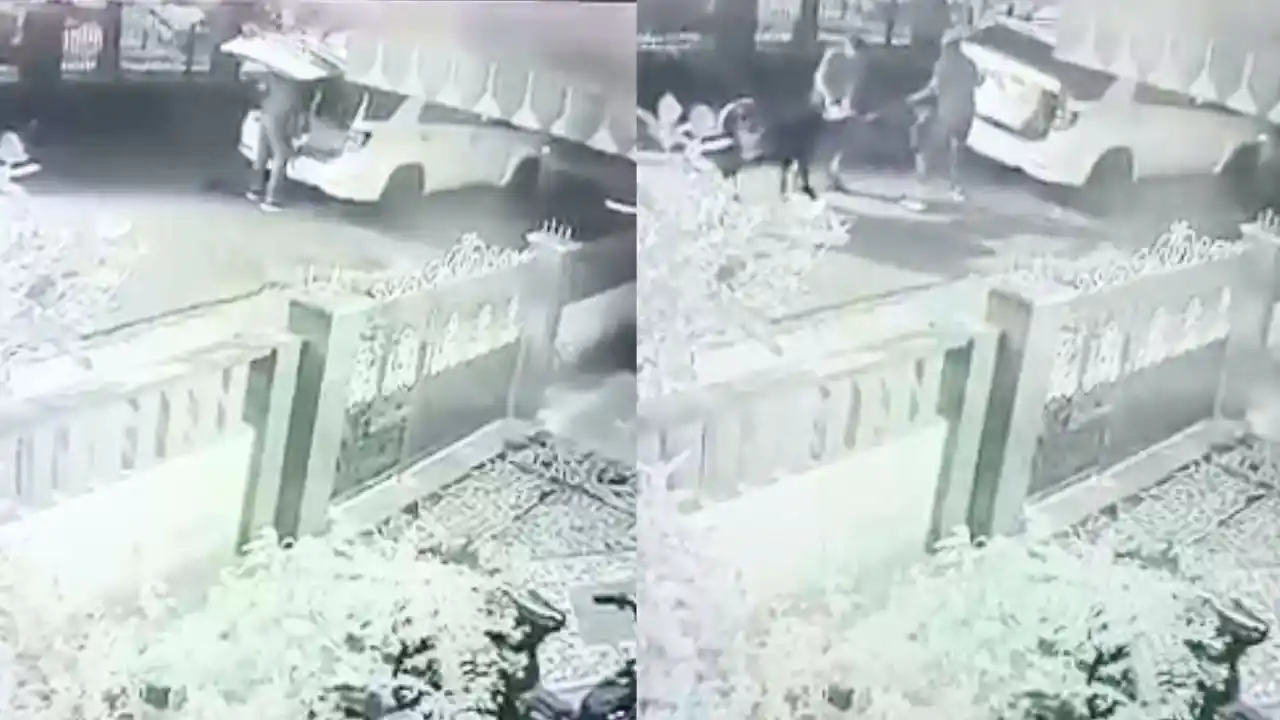 Cow theft  in Sagar Caught on CCTV Silence Over Cattle Smuggling Criticized