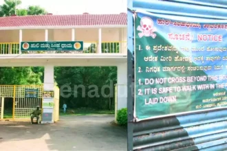 Tyavarekoppa Lion and Tiger Safari Safety