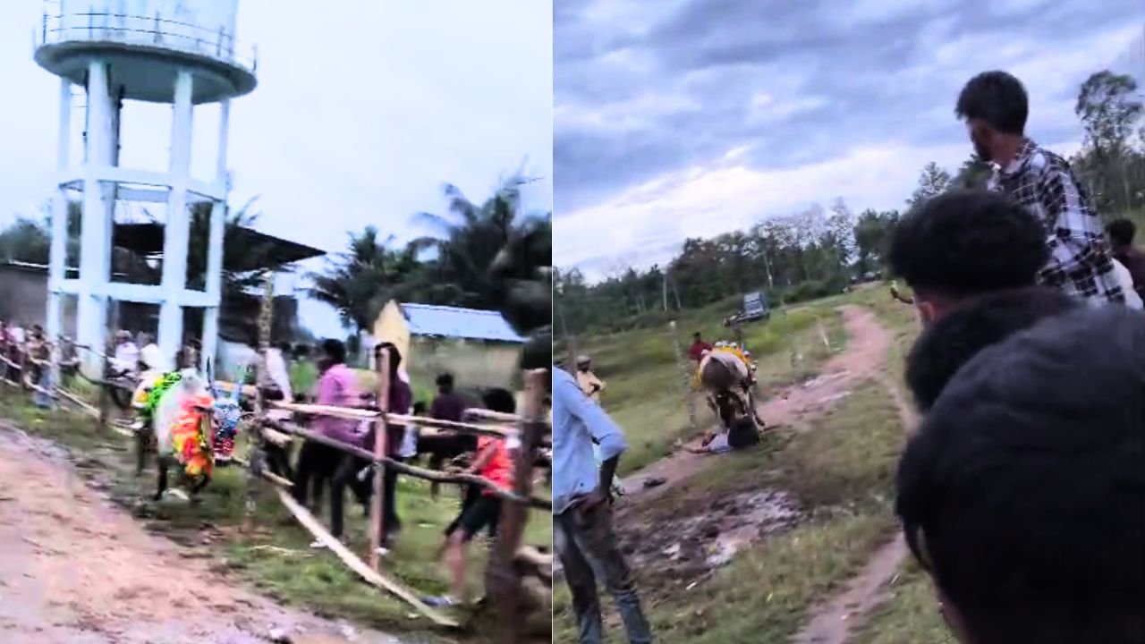 Hori Habba Shivamogga