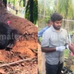 Bhadravathi Forest Division