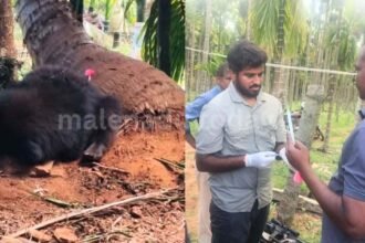 Bhadravathi Forest Division